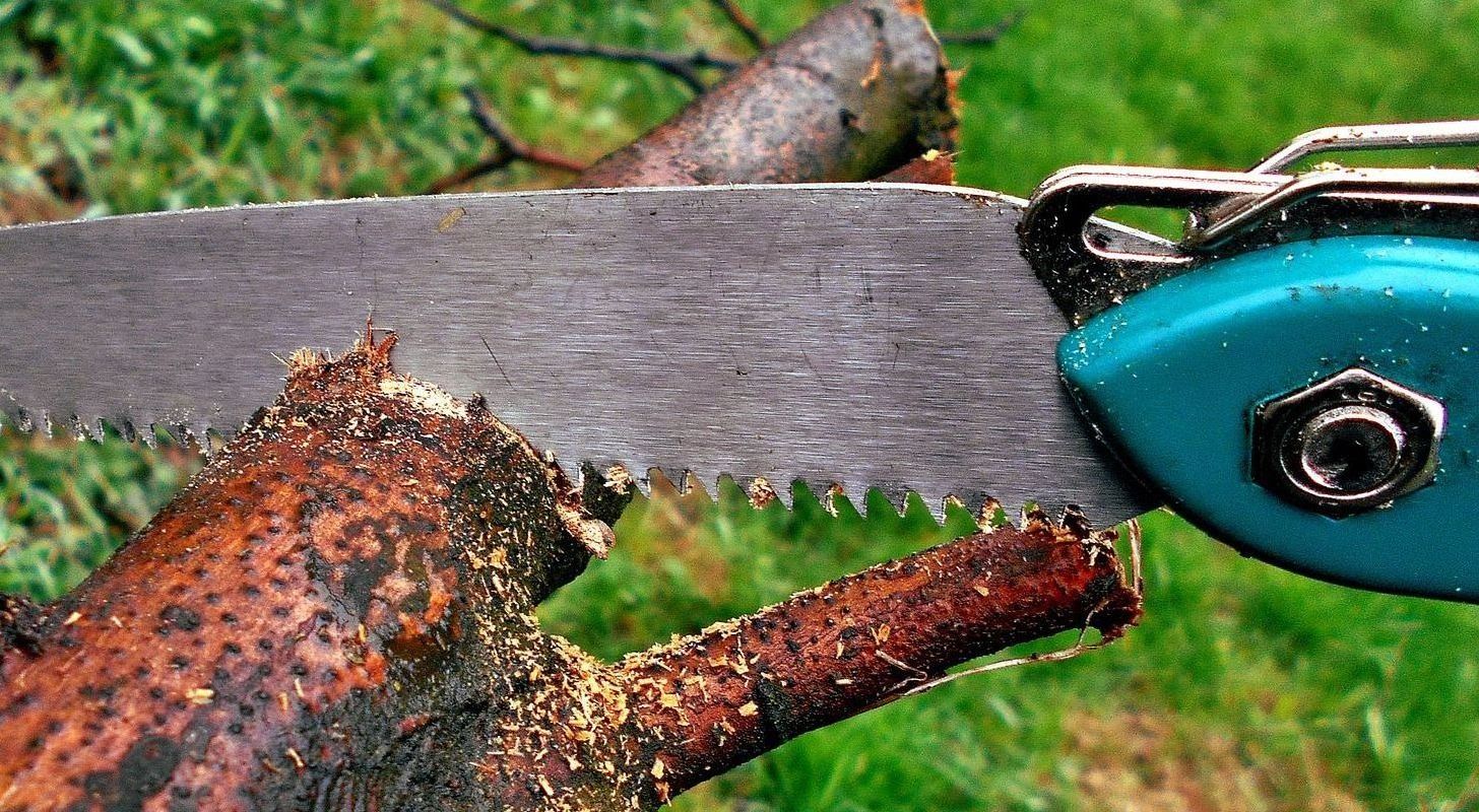 blade