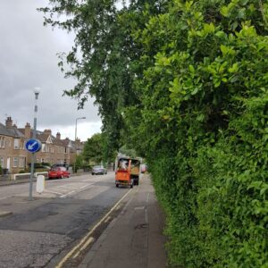 Hedge Control (Before)