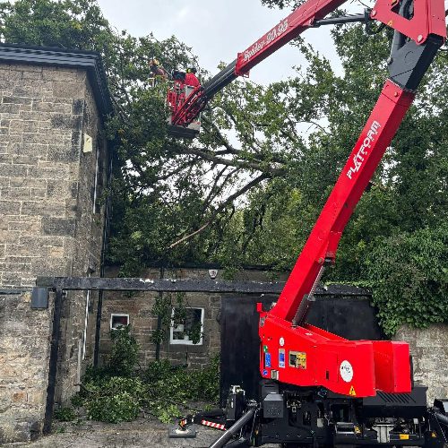 Emergency Tree Work Edinburgh
