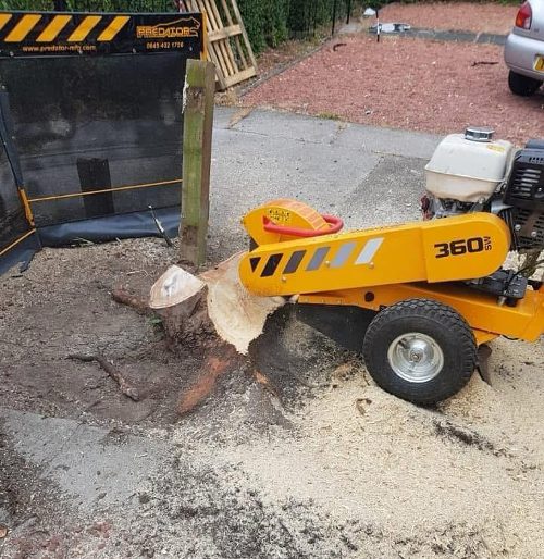 Stump Grinding and Removal Edinburgh